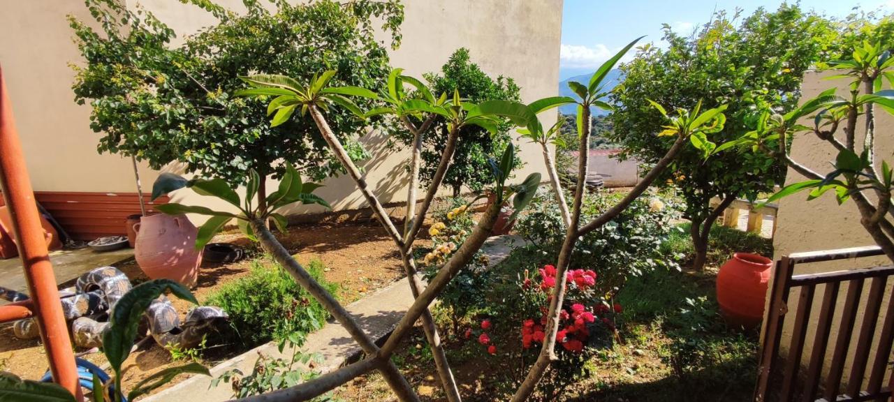 Village House With A Nice Garden Stérnai Extérieur photo